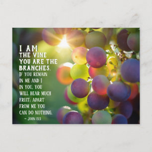 John 15:5 I Am the Vine You are the Branches Jesus Postcard