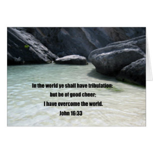 John 16:33