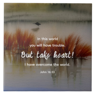 John 16:33 I have Overcome Bible Verse Christian Tile