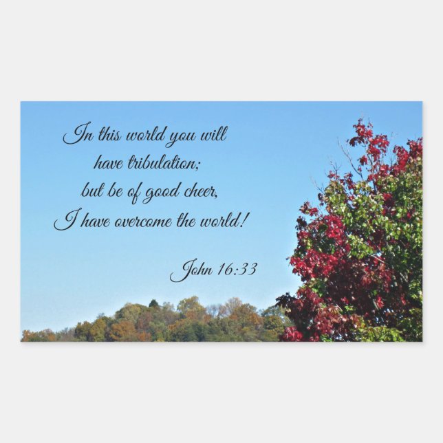 John 16:33 In the world you will have... Sticker (Front)