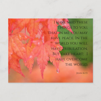 John 16:33 Red Japanese Maple Raindrop Postcard