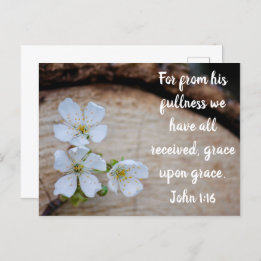 John 1:16 Fleurs de cerise sauvage Carte postale