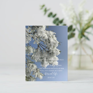 John 3:16 Custom Text | Snow Nature Original Photo Postcard