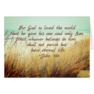 John 3:16 For God so loved the world, Bible Verse