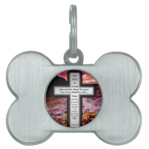 John 3:16 Gifts Pet Tag