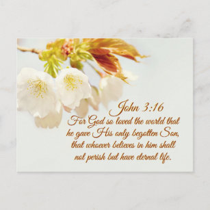 John 3:16 God so loved the world, Scripture Postcard