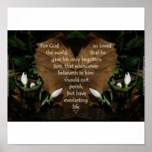 John 3:16 King James basic portfolio poster
