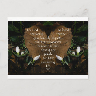 john 3:16 king james on heart leaf postcard