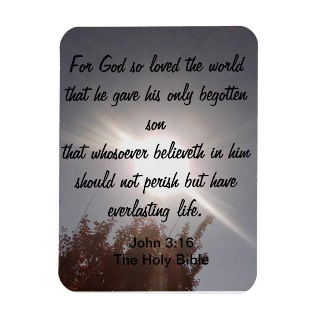John 3:16 Magnet (Vertical)