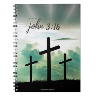 john 3:16 notebook