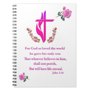 John 3:16 notebook