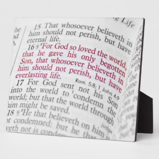 John 3:16 plaque
