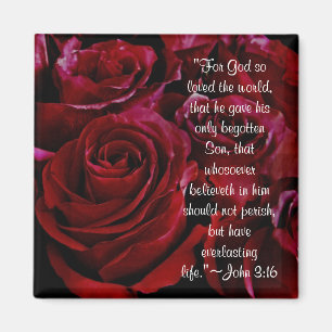 John 3:16 red roses magnet