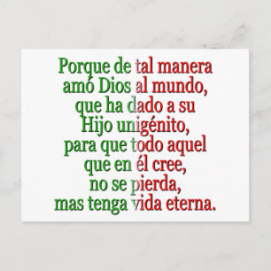 John 3:16 Spanish Postcard