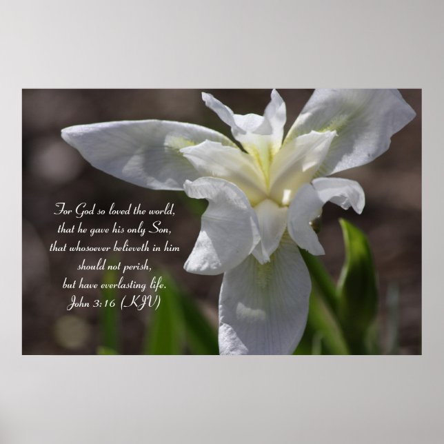 John 3:16 - The Strength of God's Love Poster (Front)