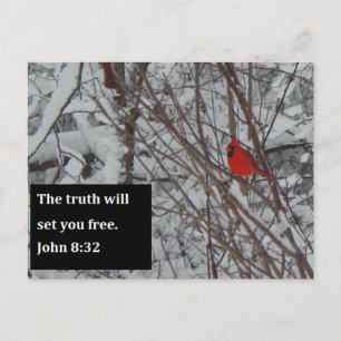 John 8:32 Scripture Post Card