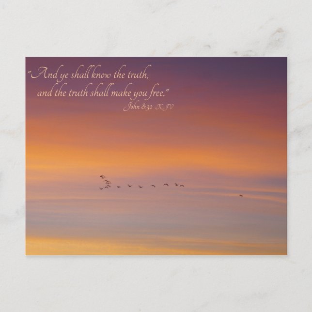 John 8:32 Scripture The Truth Shall Set You Free Postcard (Front)