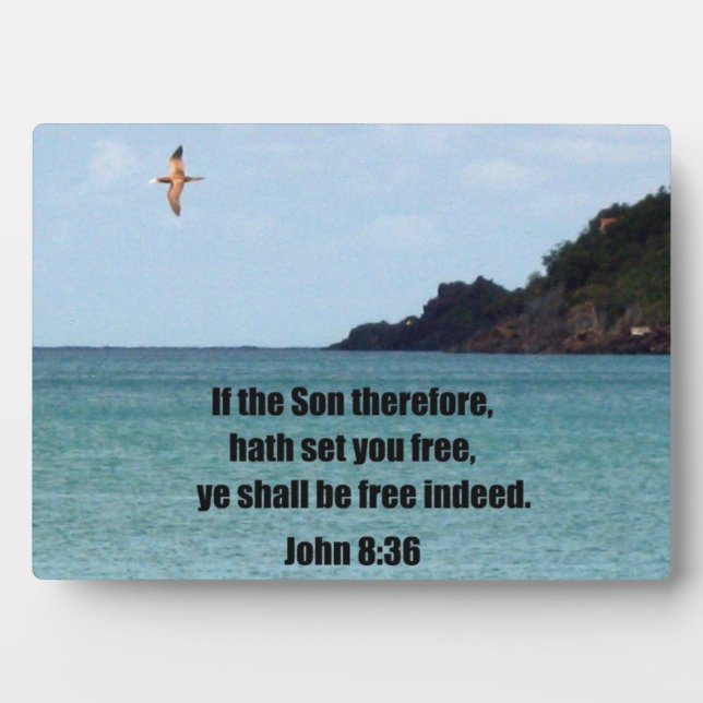 John 8:36 plaque (Front)