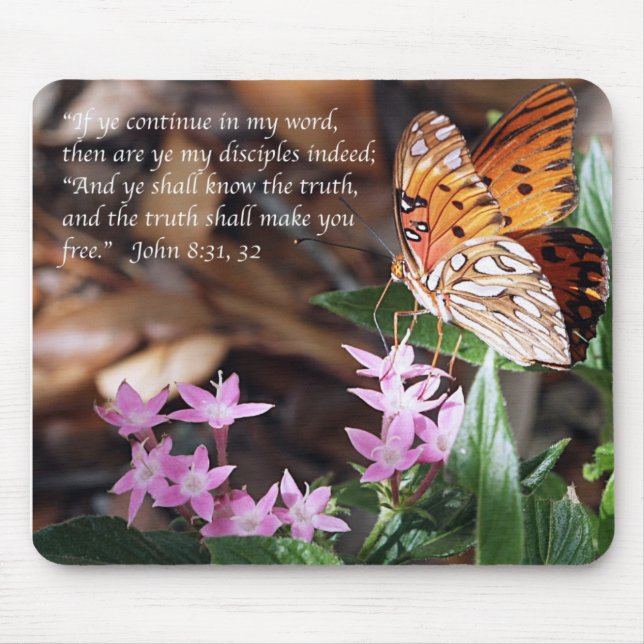 John 8 Gulf Fritillary Butterfly Mouse Pad (Front)