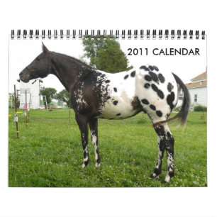 JOHN AND MARIE CRAIG'S FAMILY APPALOOSAS CALENDAR