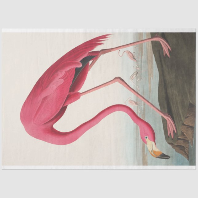 John Audubon Flamingo Pink Artwork Decoupaging Tissue Paper (Front)