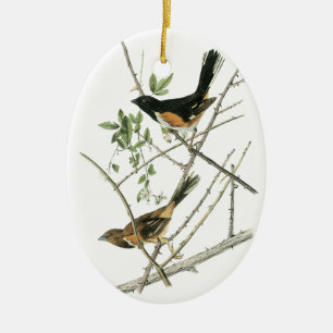 John Audubon Rufous-sided Towhee Ceramic Ornament