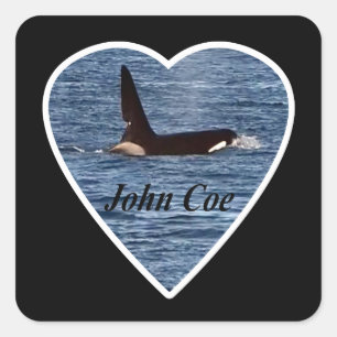 John Coe Orca Killer Whale  Square Sticker