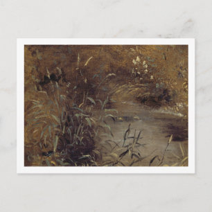 John Constable   Rushes by a Pool, c.1821 (oil on  Postcard