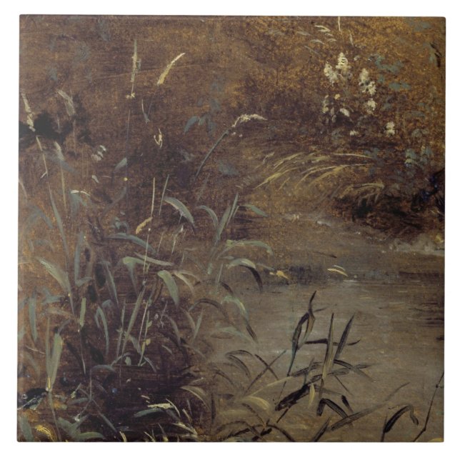 John Constable | Rushes by a Pool, c.1821 (oil on  Tile (Front)