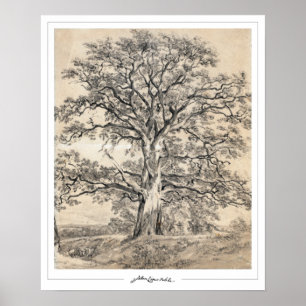 John Constable Zedign Poster d'art #545-2