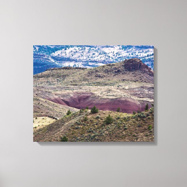 John Day Fossil Beds National Monument, Oregon Canvas Print (Front)