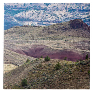 John Day Fossil Beds National Monument, Oregon Tile