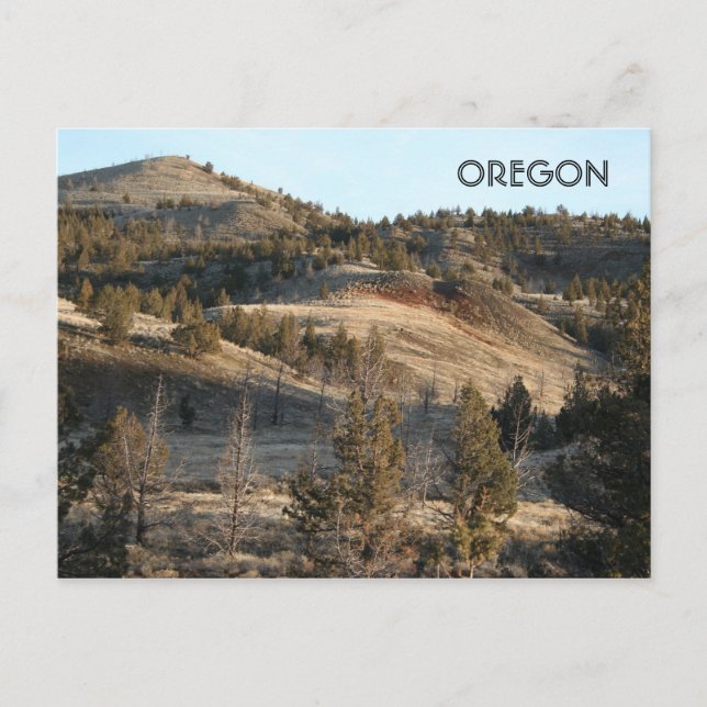 John Day Fossil Beds Postcard (Front)