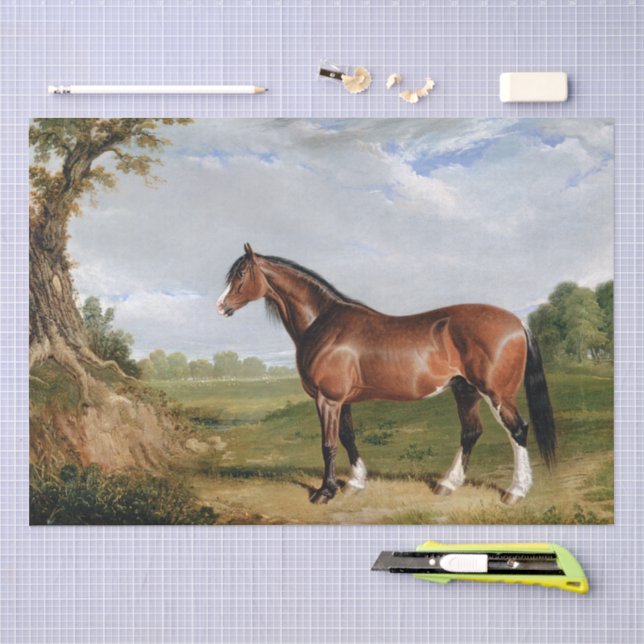 John Frederick Herring | A Clydesdale Stallion Tissue Paper (Craft)