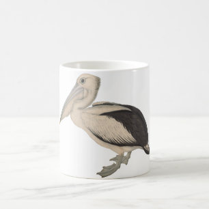 John Gould Pelican mug