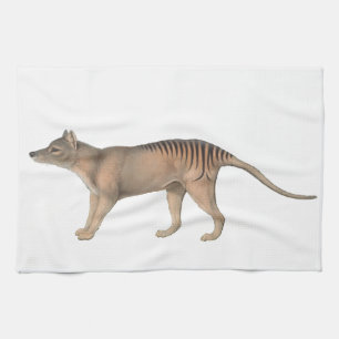 John Gould Tasmanian Tiger Thyalcine Kitchen Towel