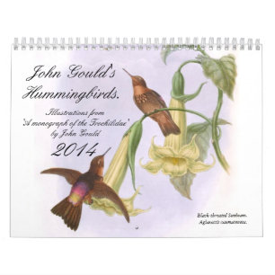John Gould's Hummingbirds 2014 Calendar