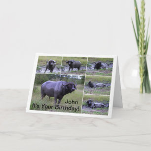John Happy Birthday Cape Buffalo Mud Bath Card