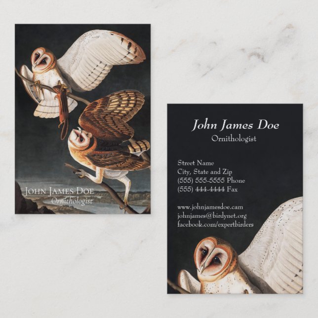 John James Audubon Barn Owls Business Card (Front/Back)
