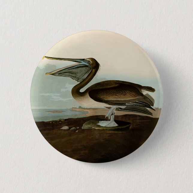 John James Audubon Brown Pelican Artwork Painting 2 Inch Round Button (Front)