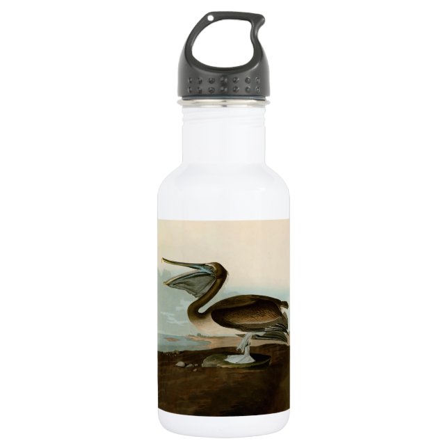 John James Audubon Brown Pelican Artwork Painting 532 Ml Water Bottle (Front)