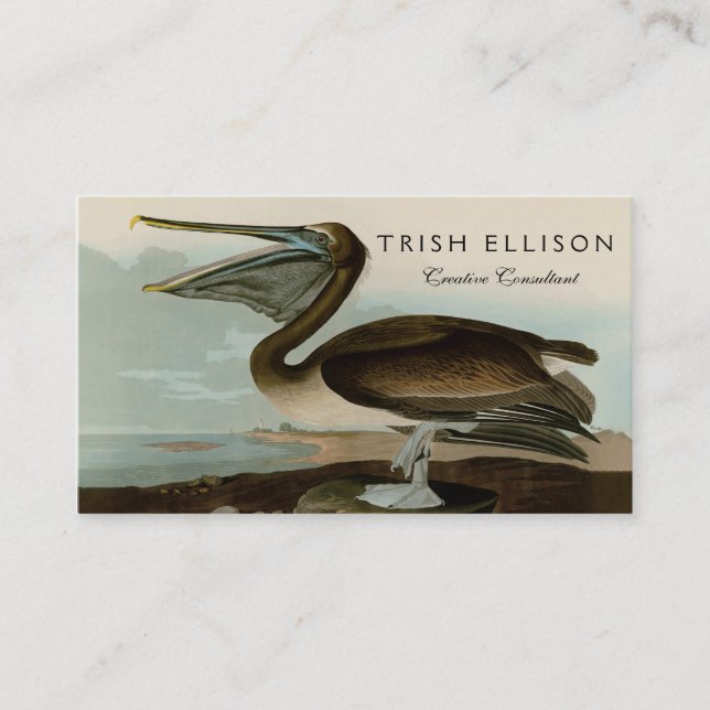 John James Audubon Brown Pelican Artwork Painting Business Card (Front)