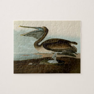 John James Audubon Brown Pelican Artwork Painting Jigsaw Puzzle