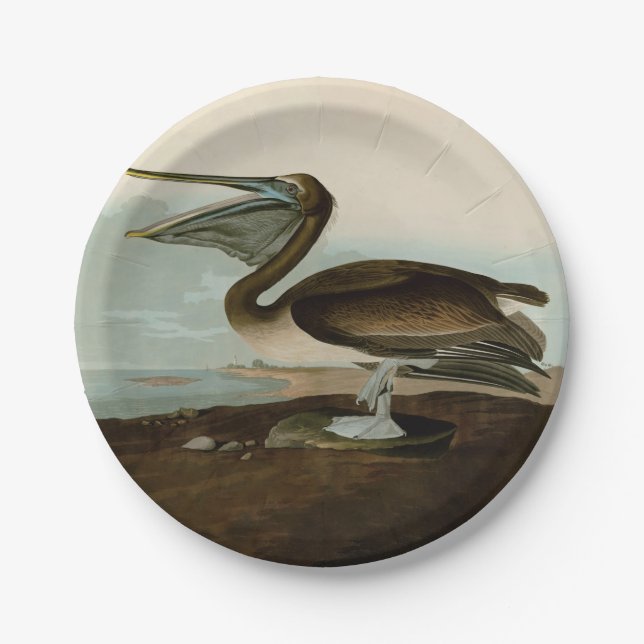 John James Audubon Brown Pelican Artwork Painting Paper Plate (Front)