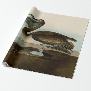 John James Audubon Brown Pelican Artwork Painting Wrapping Paper