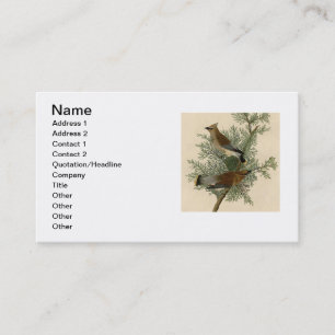 John James Audubon Cedar Waxwing Bird Print Business Card