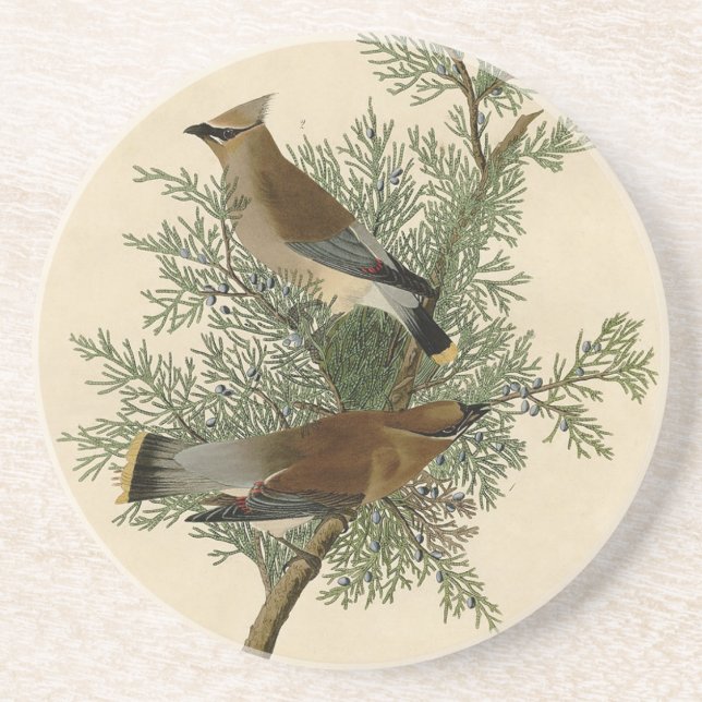 John James Audubon Cedar Waxwing Bird Print Coaster (Front)