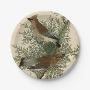John James Audubon Cedar Waxwing Bird Print Paper Plate