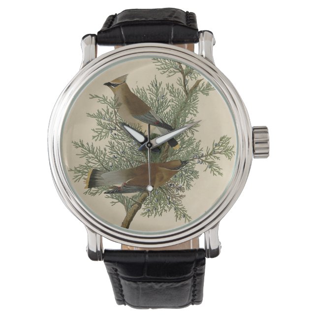 John James Audubon Cedar Waxwing Bird Print Watch (Front)