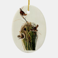John James Audubon Marsh Wren Bird Print